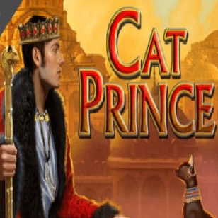 cat prince