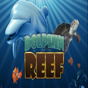 dolphin reef