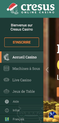 Menu du site web