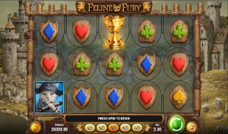 Feline Fury
