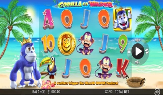 Gorilla Go Wilder